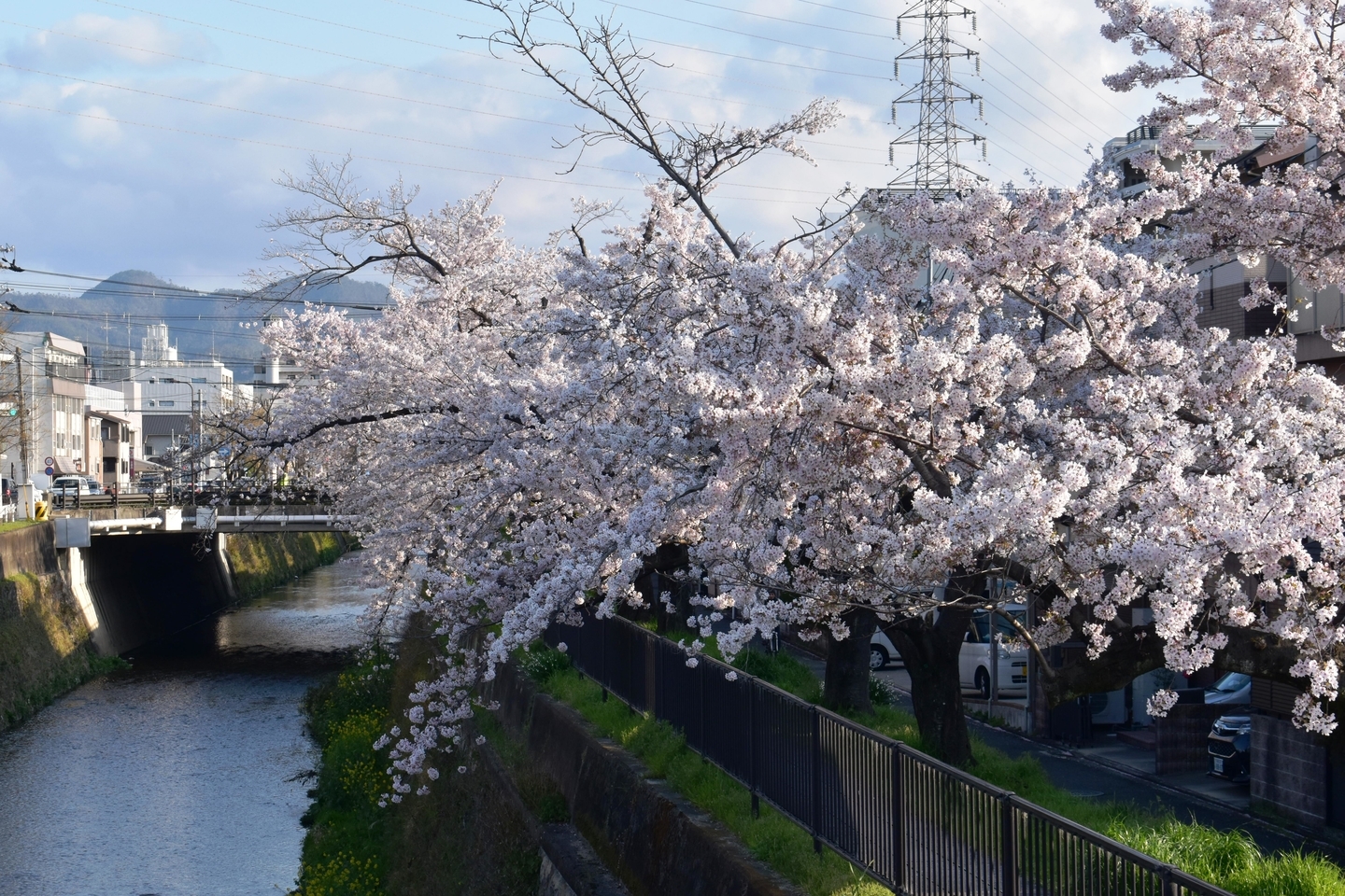 天神川