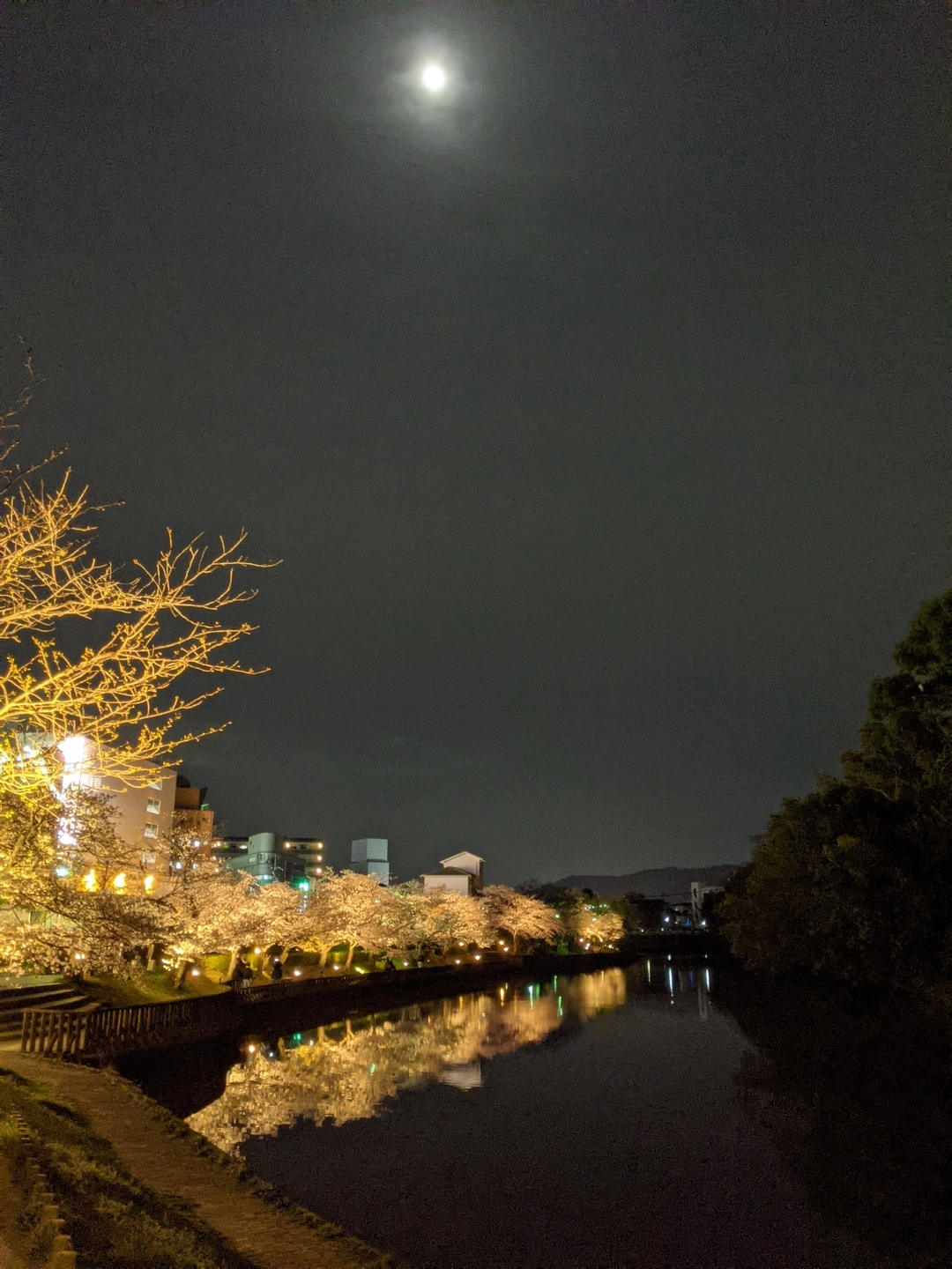 南郷公園のライトアップ