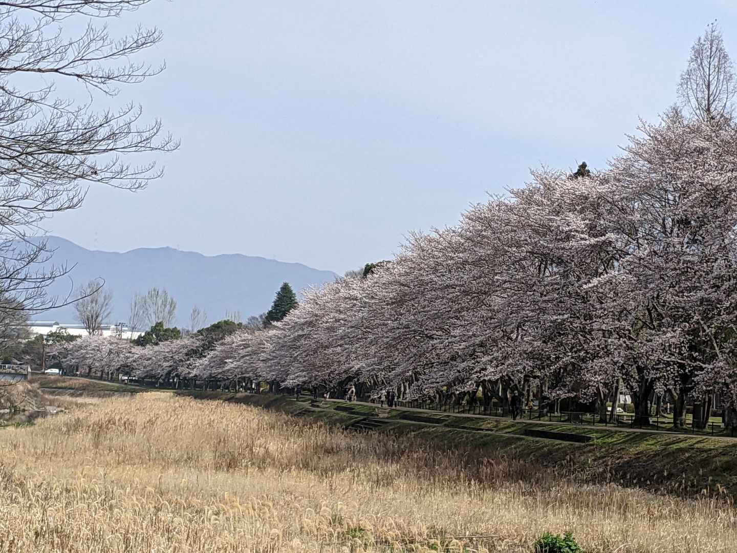 亀岡運動公園