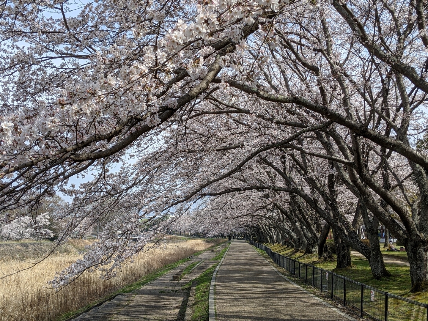 亀岡運動公園