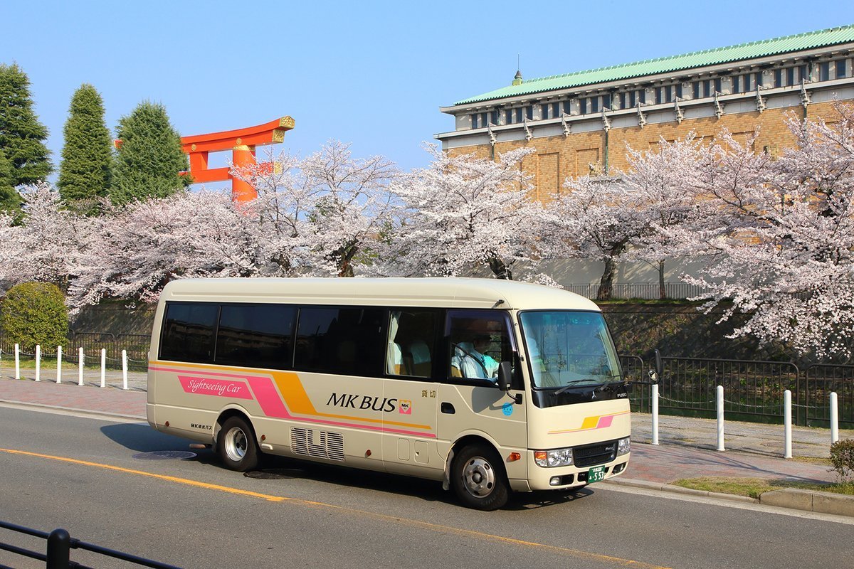 MK観光バスと桜並木 2018年3月28日 撮影:MKタクシー