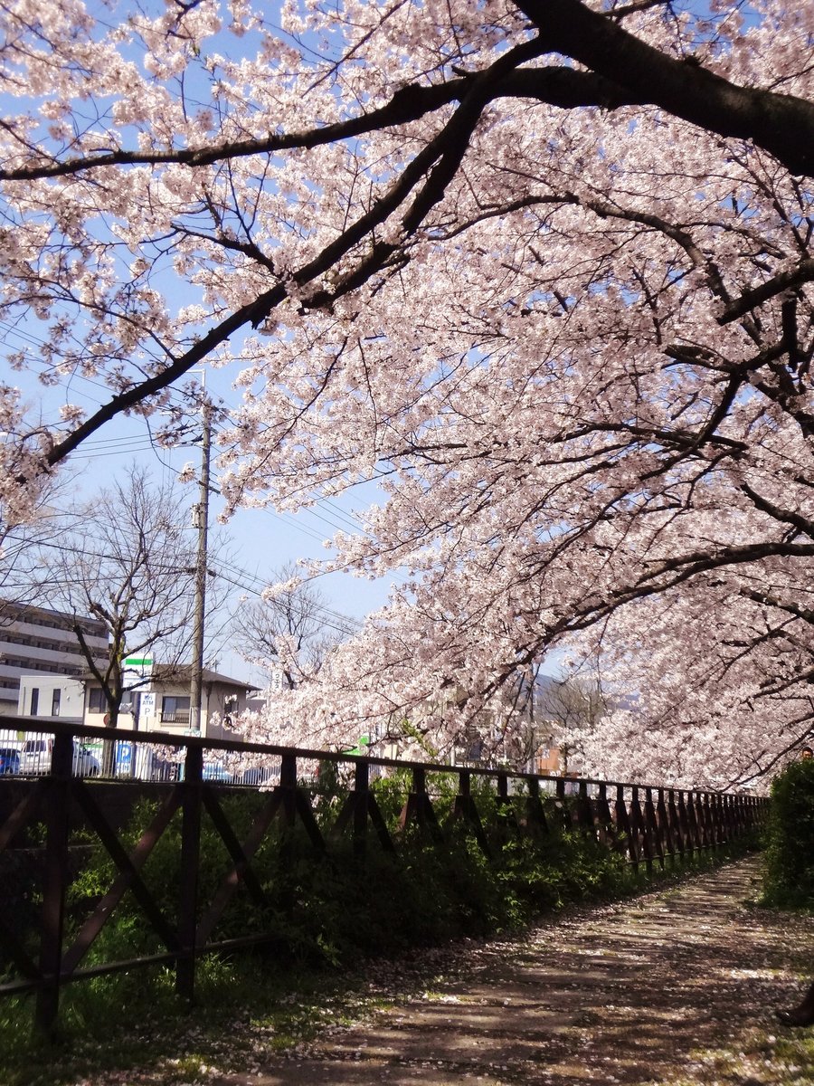 西高辻橋 2012年4月12日 撮影:MKタクシー