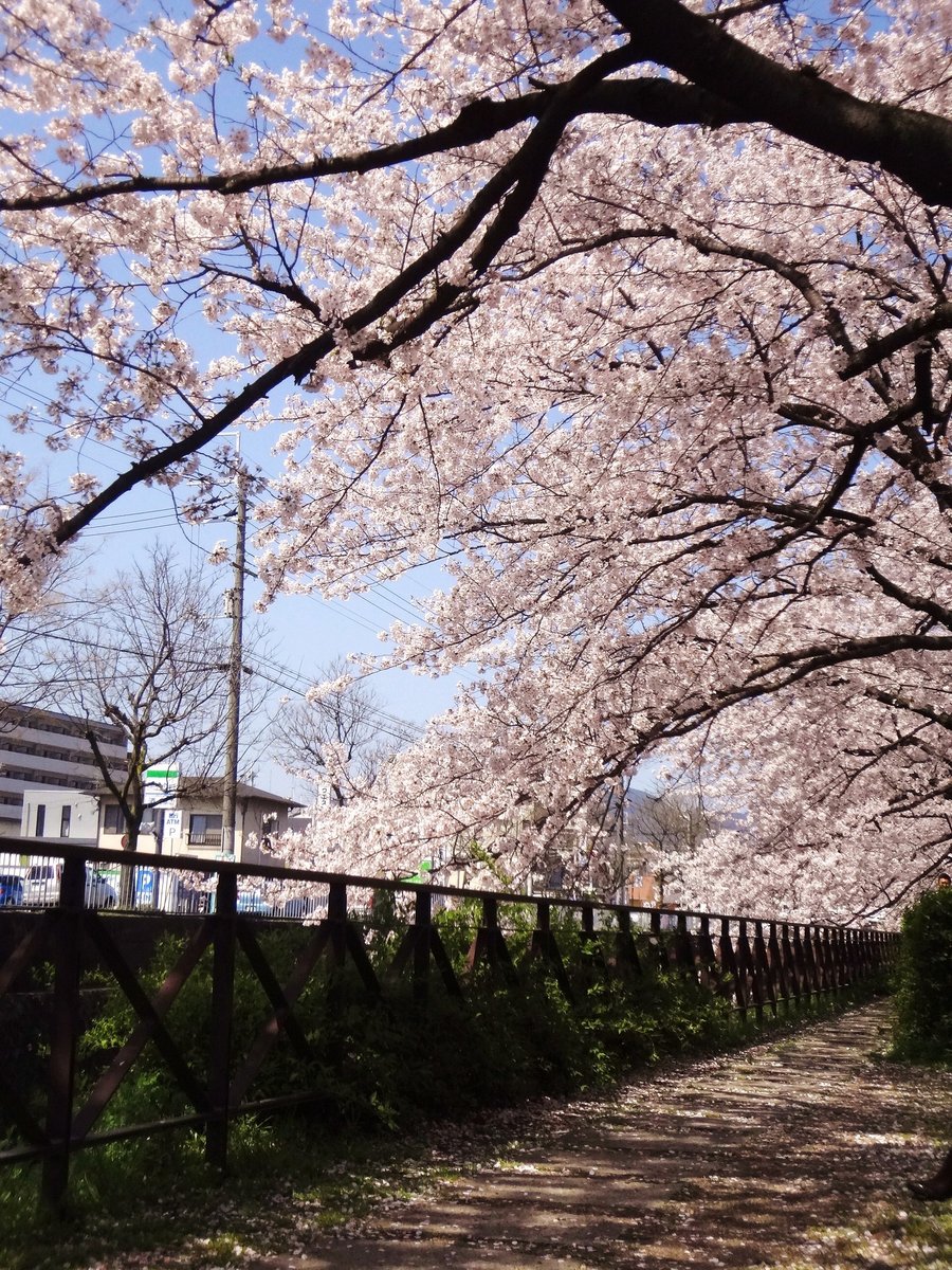 西高辻橋　2012年4月12日　撮影：MKタクシー