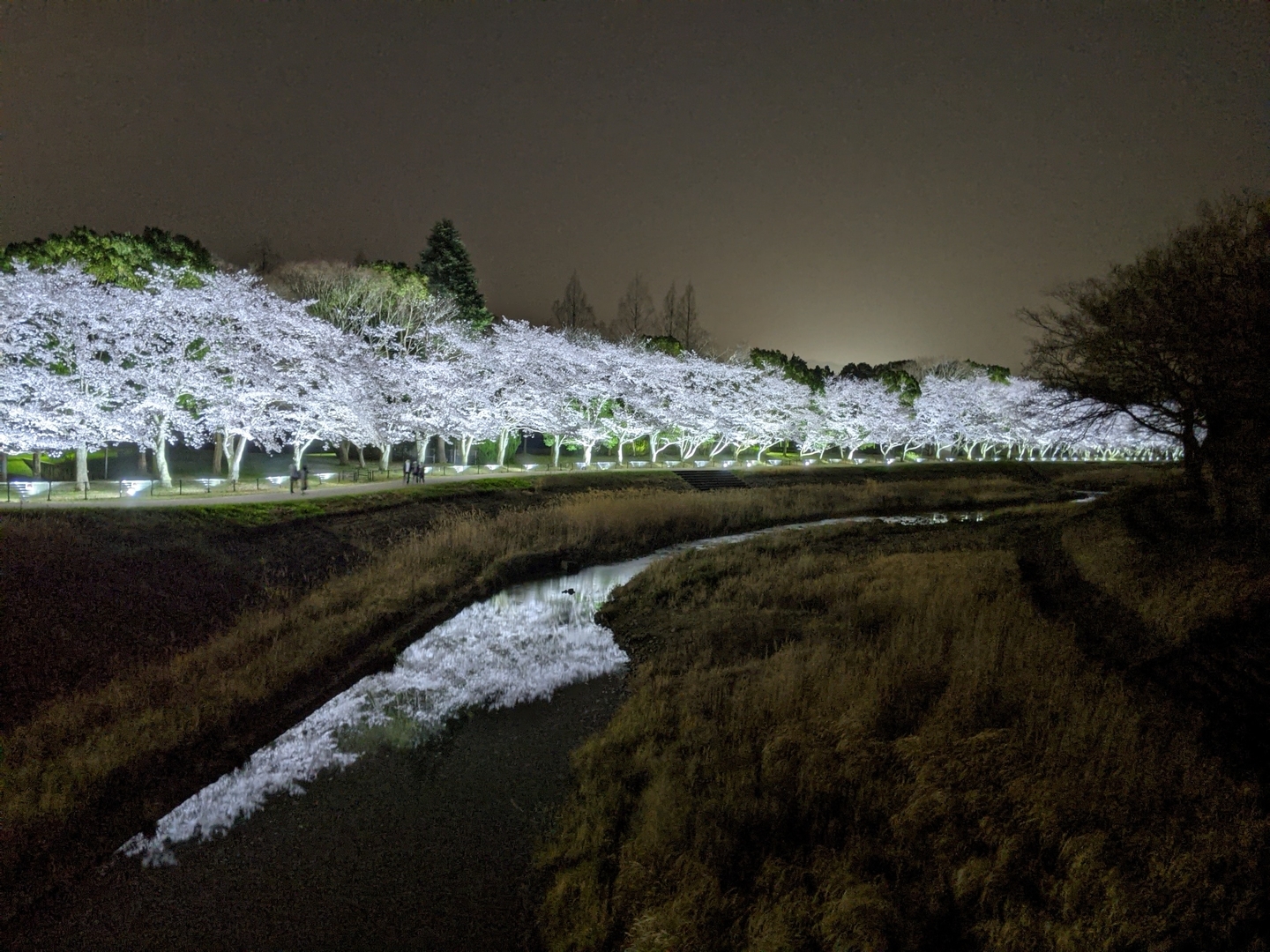 亀岡運動公園