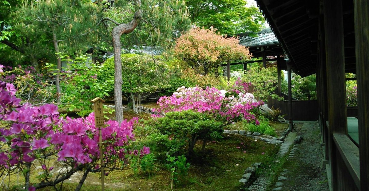曹源池庭園 見頃 2017年5月5日 撮影:MKタクシー