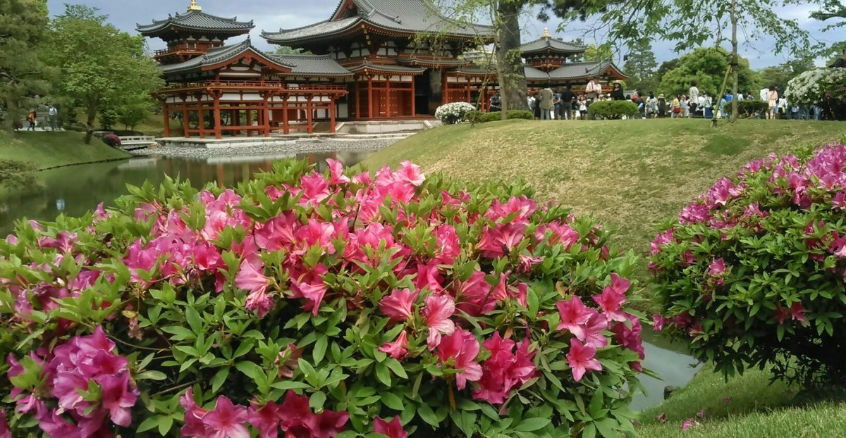 平等院 見頃 2015年5月3日 撮影:MKタクシー