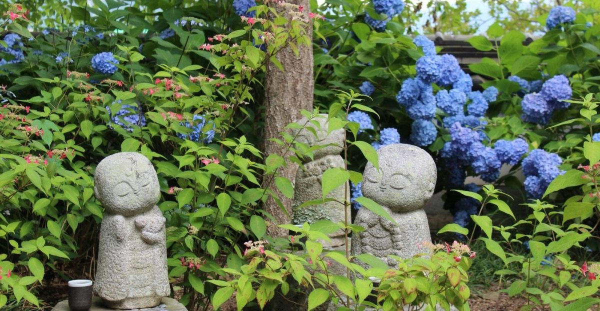 わらべ仏とあじさい 見頃 2018年6月16日 撮影:MKタクシー
