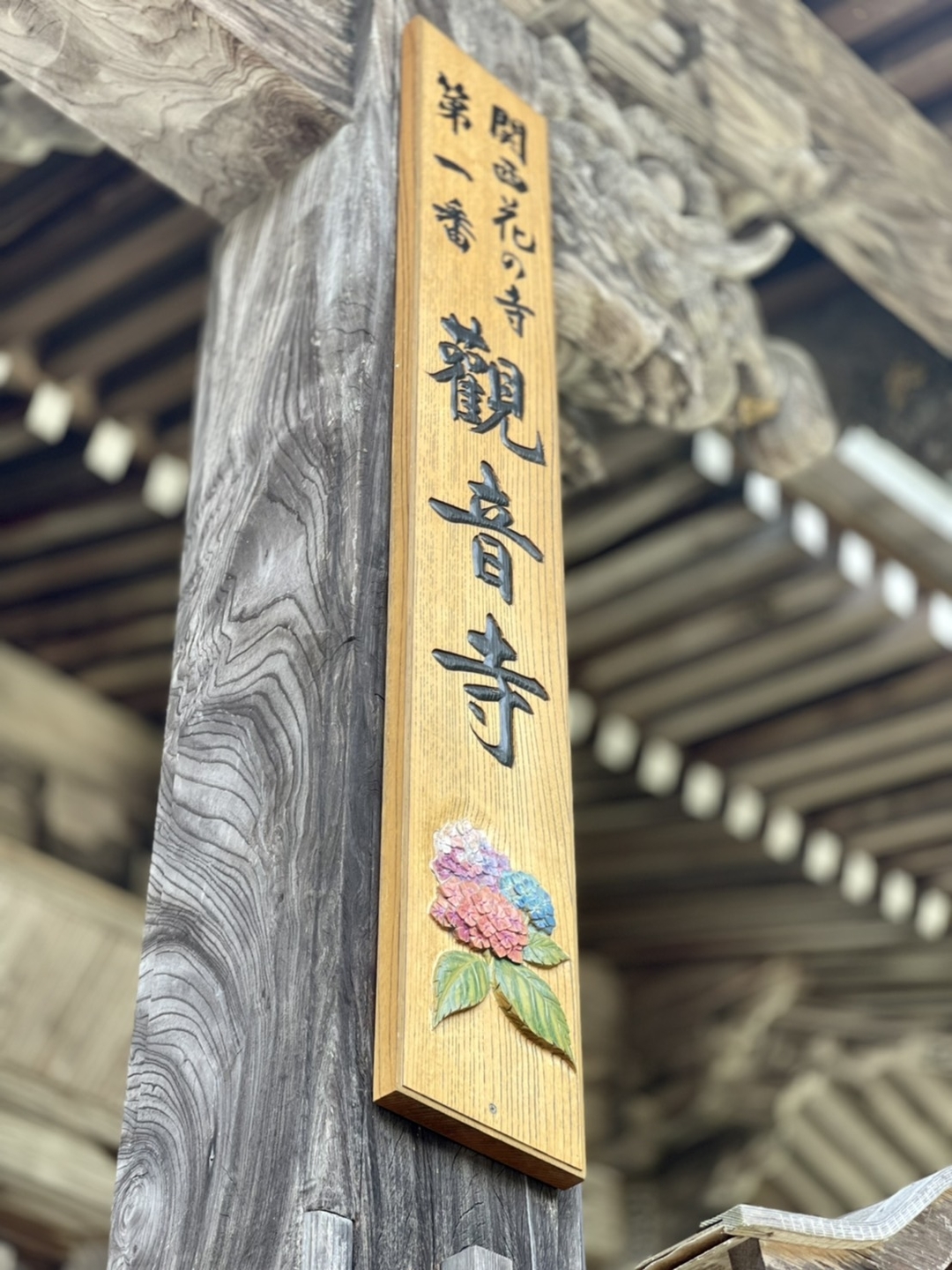 関西花の寺第一番 観音寺 2021年6月11日 撮影:MKタクシー