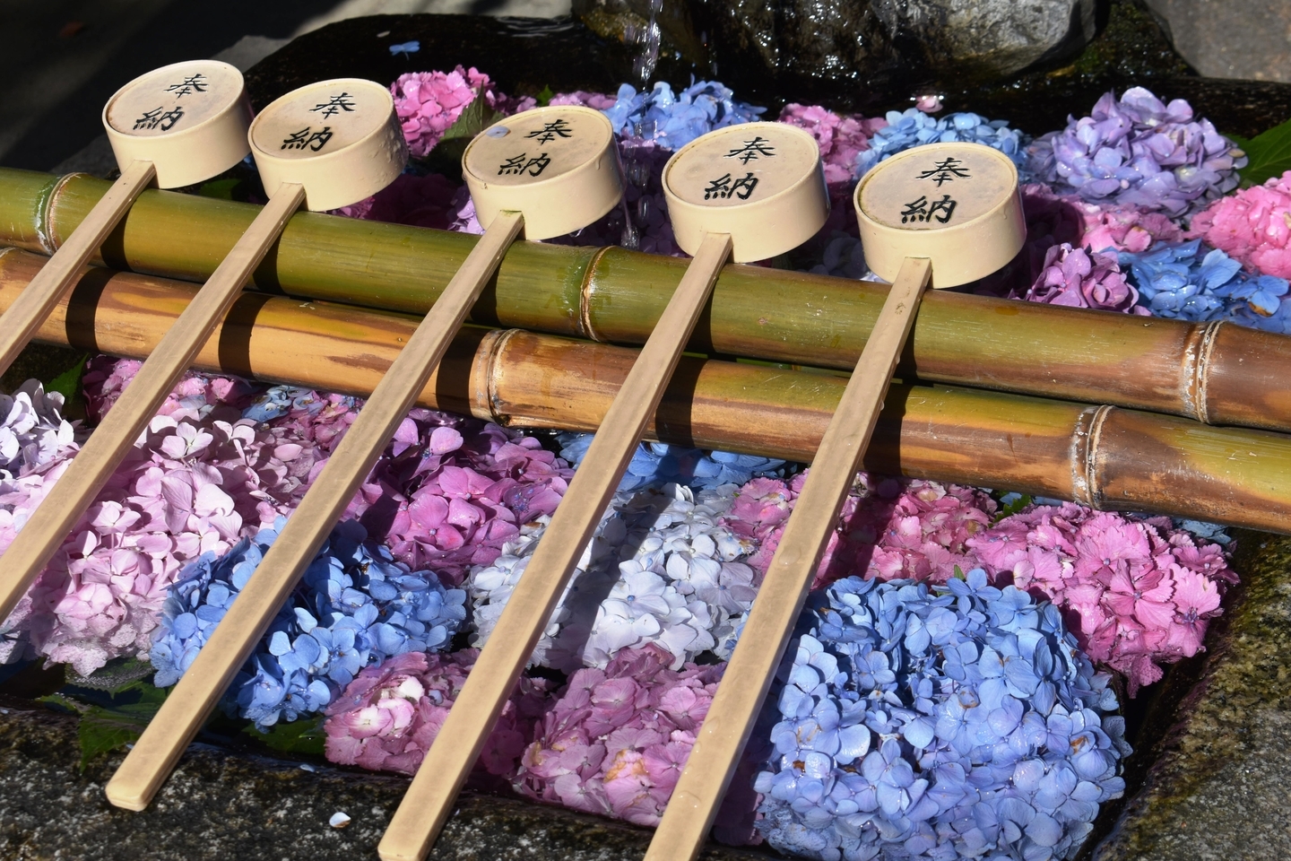 藤森神社 花手水 2021年6月14日 撮影:MKタクシー