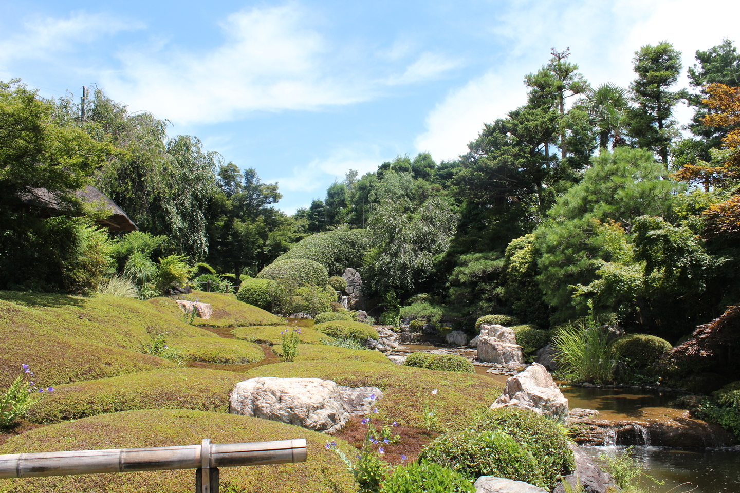 退蔵院