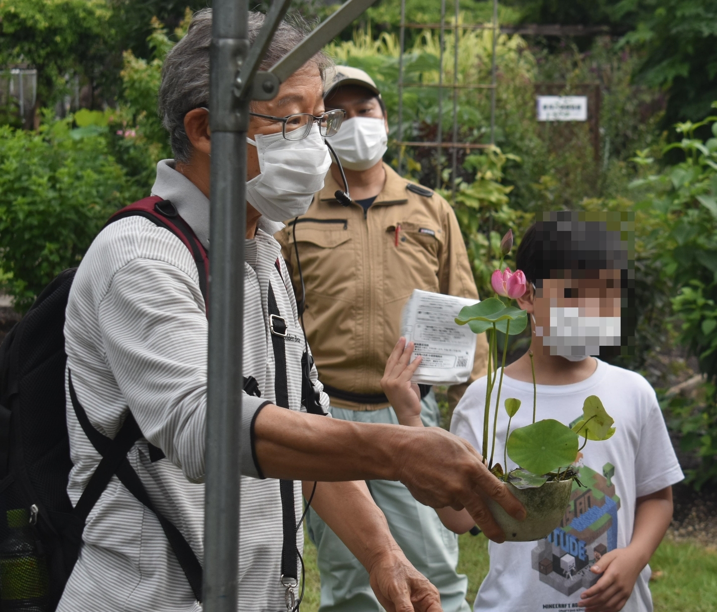 京都府立植物園の観蓮会　碗蓮　2021年7月10日　撮影：MKタクシー