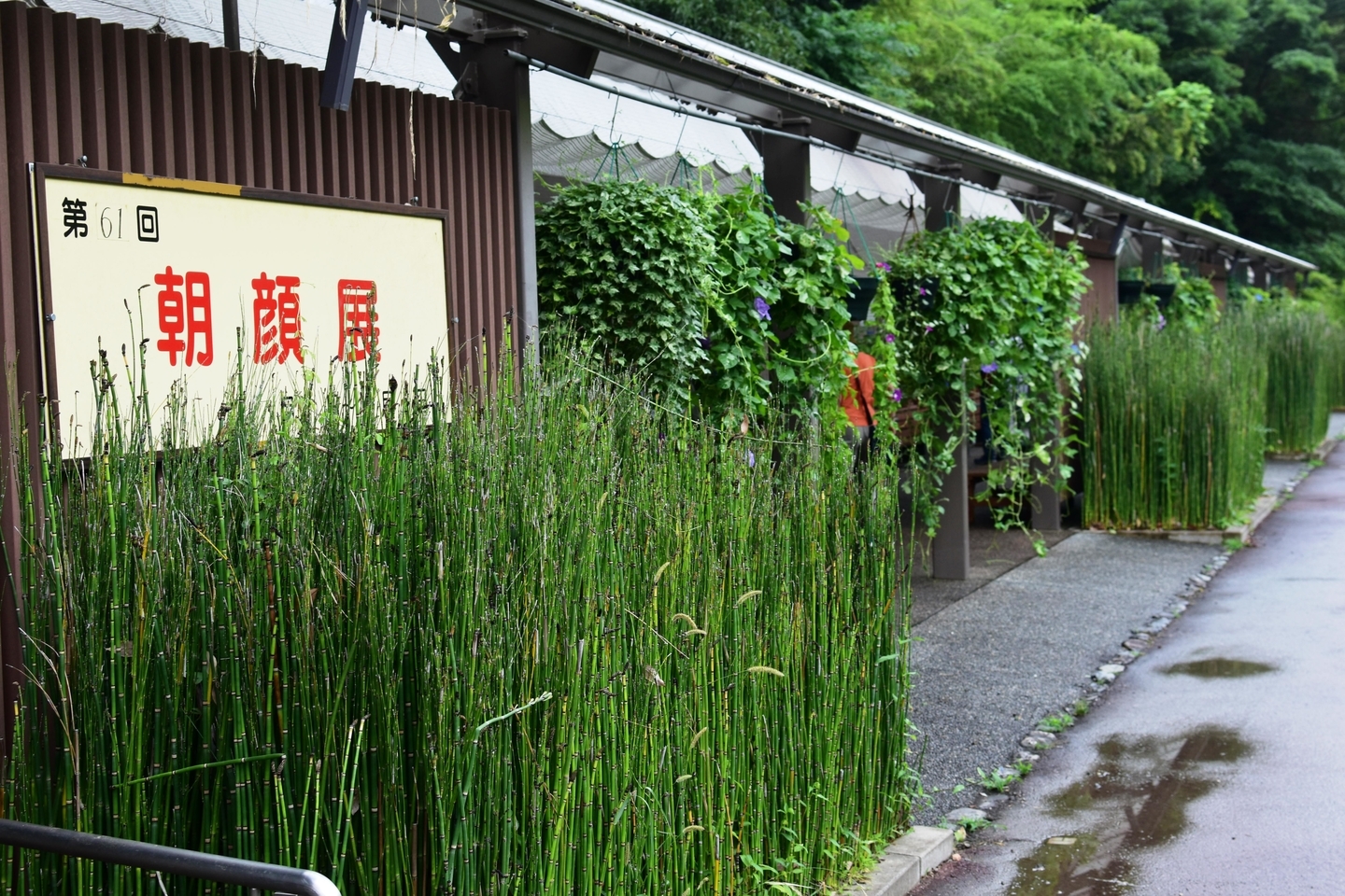 会場となる植物展示場 2021年7月30日 撮影:MKタクシー