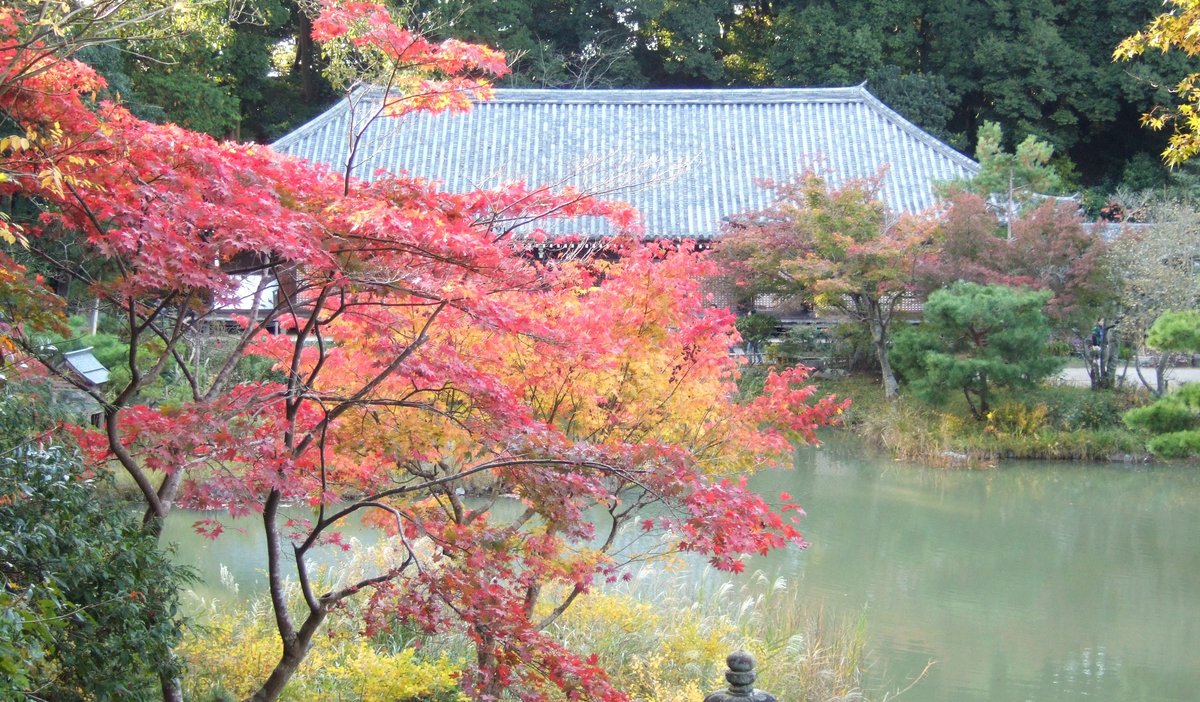 浄瑠璃寺 MK新聞2012年10月1日号より