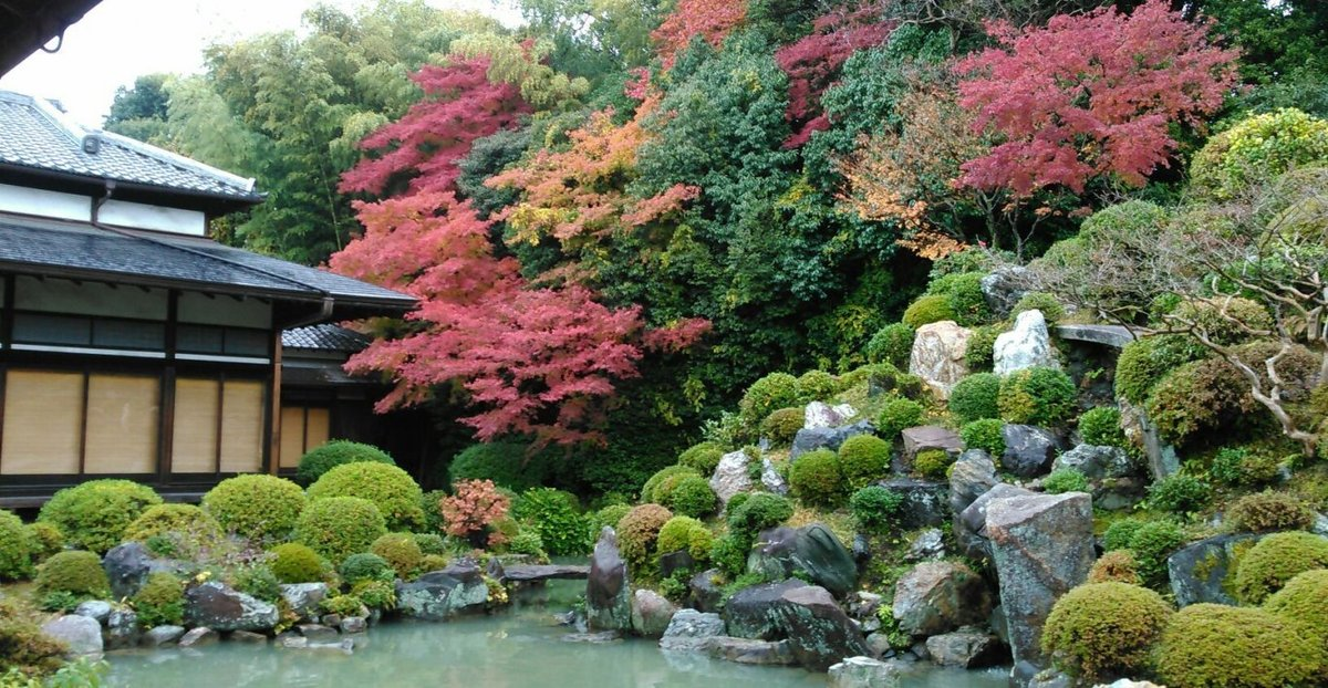 智積院・名勝庭園の紅葉　見頃　11月25日　撮影：MKタクシー