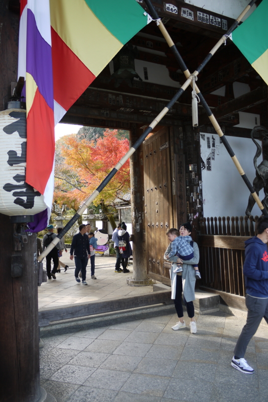 f:id:mkawa_a:20161120232737j:plain f:id:mkawa_a:20161120232737j:plain