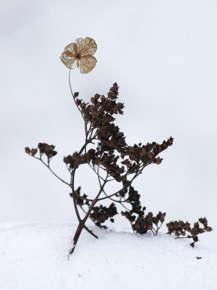 f:id:mkbkc:20200626175317j:plain