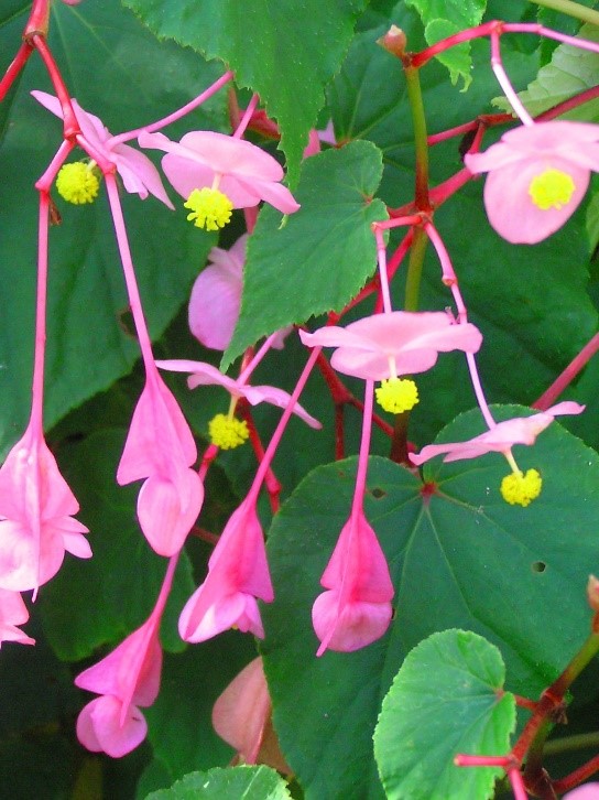 f:id:mkbkc:20200825104813j:plain