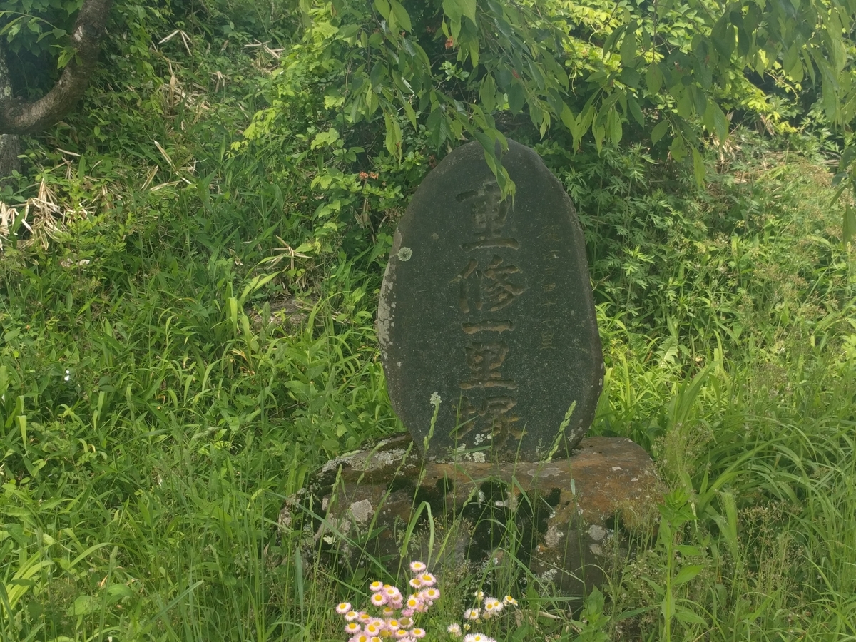 f:id:mkinchan:20200603223433j:plain