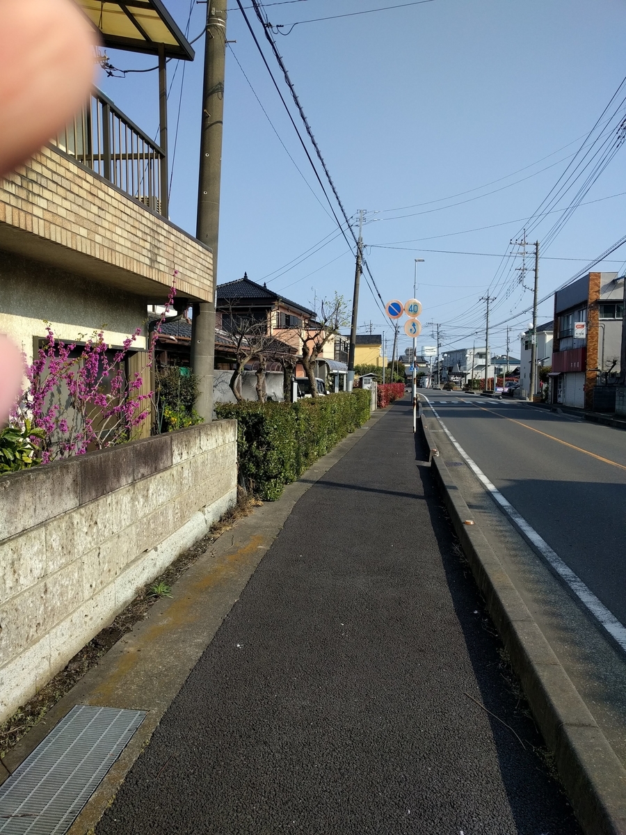f:id:mkinchan:20201123020308j:plain