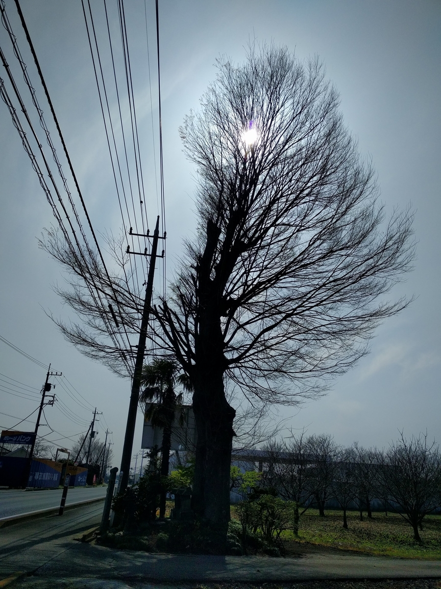 f:id:mkinchan:20201123134100j:plain