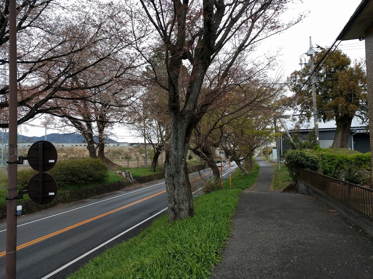 f:id:mkinchan:20201123204045j:plain