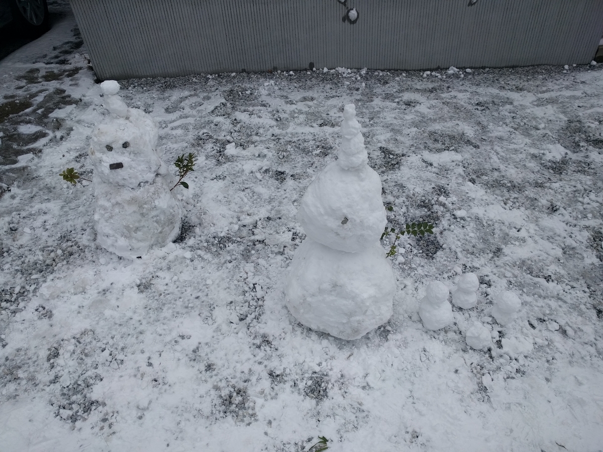 f:id:mkinchan:20210109201009j:plain