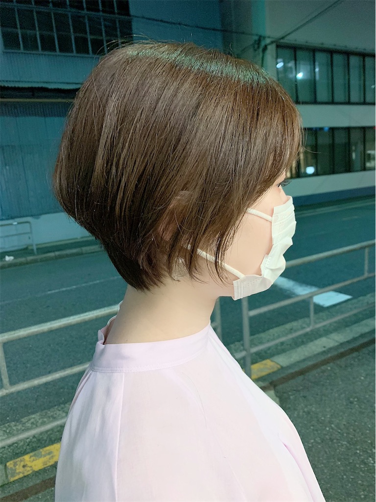 f:id:mkkm1229:20210611144310j:image