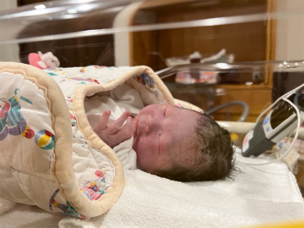 f:id:mkkm1229:20230120132342j:image f:id:mkkm1229:20230120132342j:image