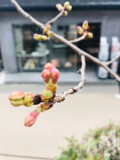 f:id:mkm_my:20200320184041j:plain