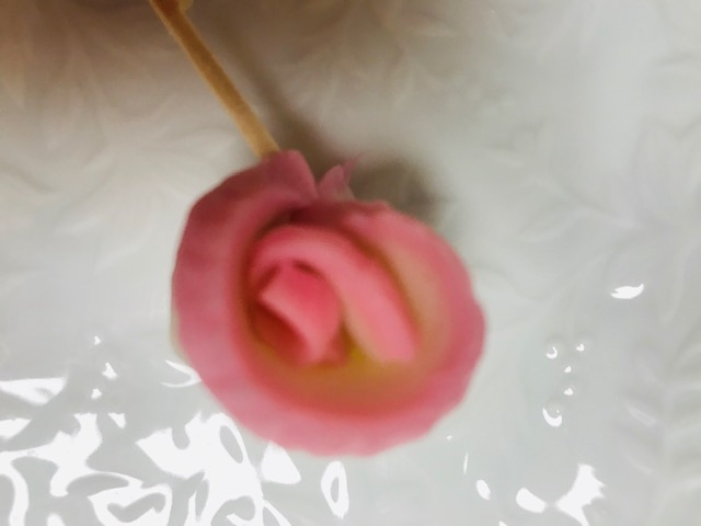 f:id:mkm_my:20200413074407j:plain