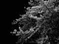 20130424214511