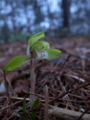 20130426113716
