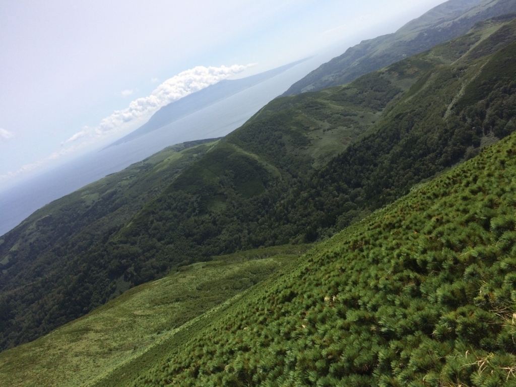 f:id:mkomekome:20170829155807j:plain f:id:mkomekome:20170829155807j:plain
