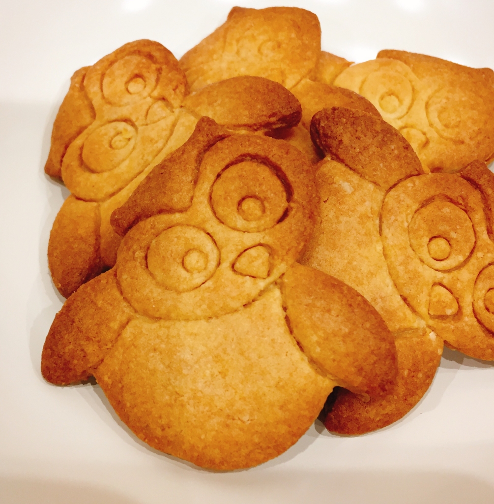 f:id:mkonohazuku:20170529105052j:plain f:id:mkonohazuku:20170529105052j:plain