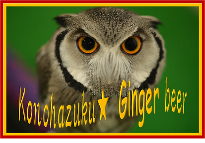 f:id:mkonohazuku:20200704223912p:plain f:id:mkonohazuku:20200704223912p:plain