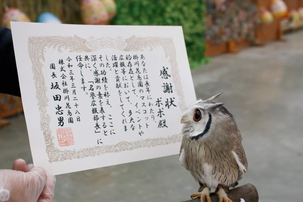 ぴい子さん5歳の誕生日 と 掛川花鳥園のポポちゃん パンとフクロウ 自家製天然酵母 ぴい子さん5歳の誕生日 と 掛川花鳥園のポポちゃん パンとフクロウ 自家製天然酵母