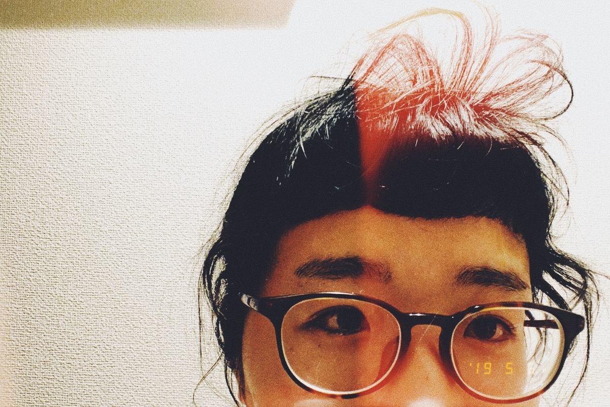f:id:mkrdtsb:20190510010016j:plain f:id:mkrdtsb:20190510010016j:plain