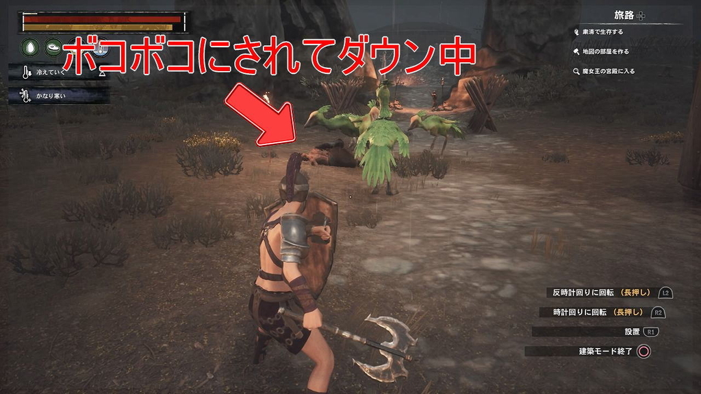 ハシビロコウ祭り