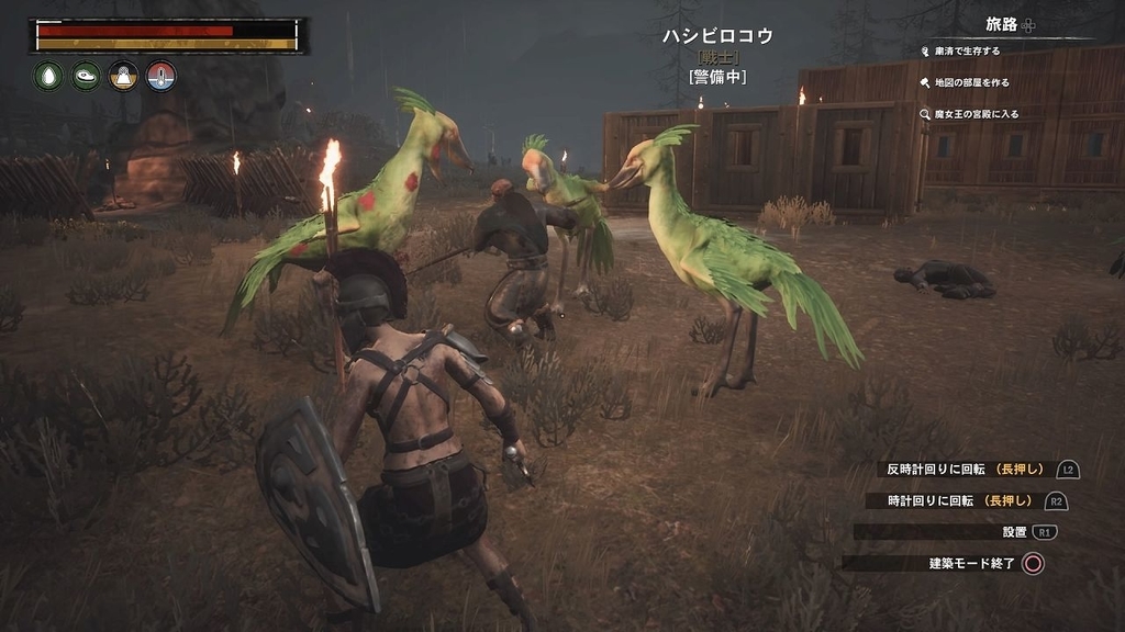 ハシビロコウ祭り３