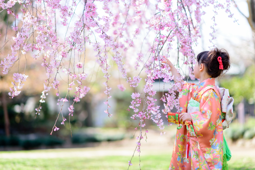 七五三写真ならロケーション撮影 越谷花田苑 竹と桜の日本庭園が美しすぎる Sf ママチャリ日記