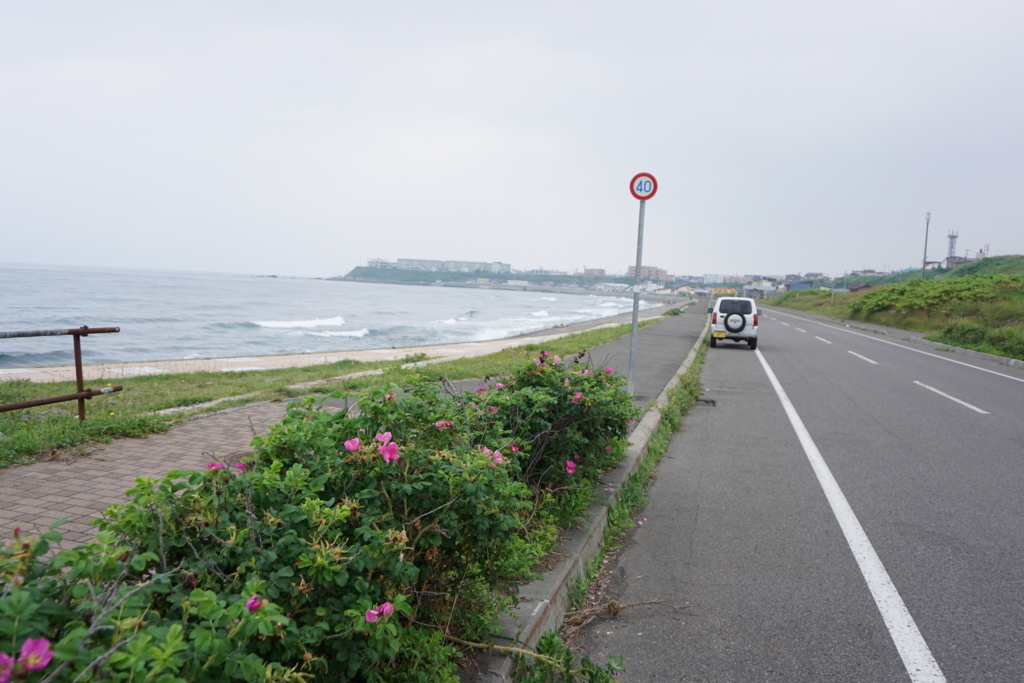 f:id:mksurf:20170716162551j:plain f:id:mksurf:20170716162551j:plain