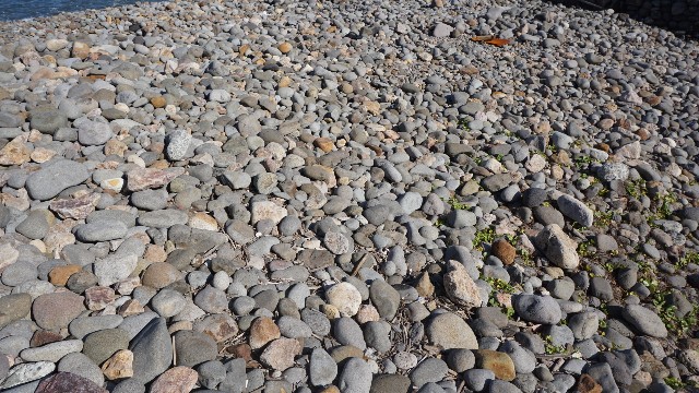 f:id:mksurf:20191012053356j:image