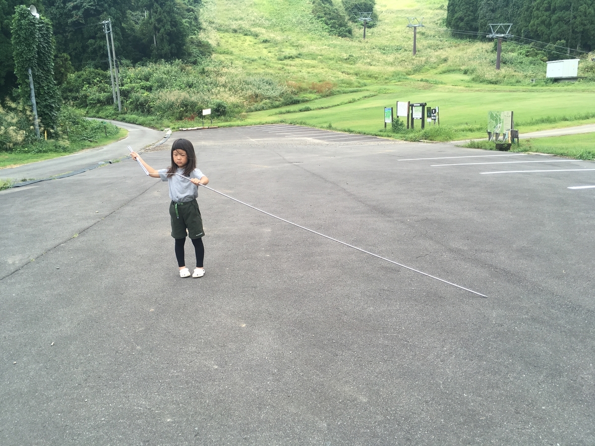f:id:mkt_amr:20201029131309j:plain f:id:mkt_amr:20201029131309j:plain