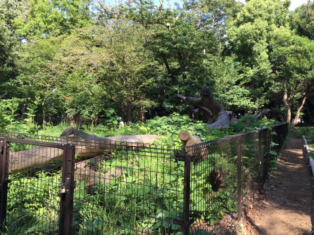 f:id:mktakuyax:20150822144857j:plain