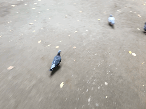 f:id:mktakuyax:20160911134941g:plain