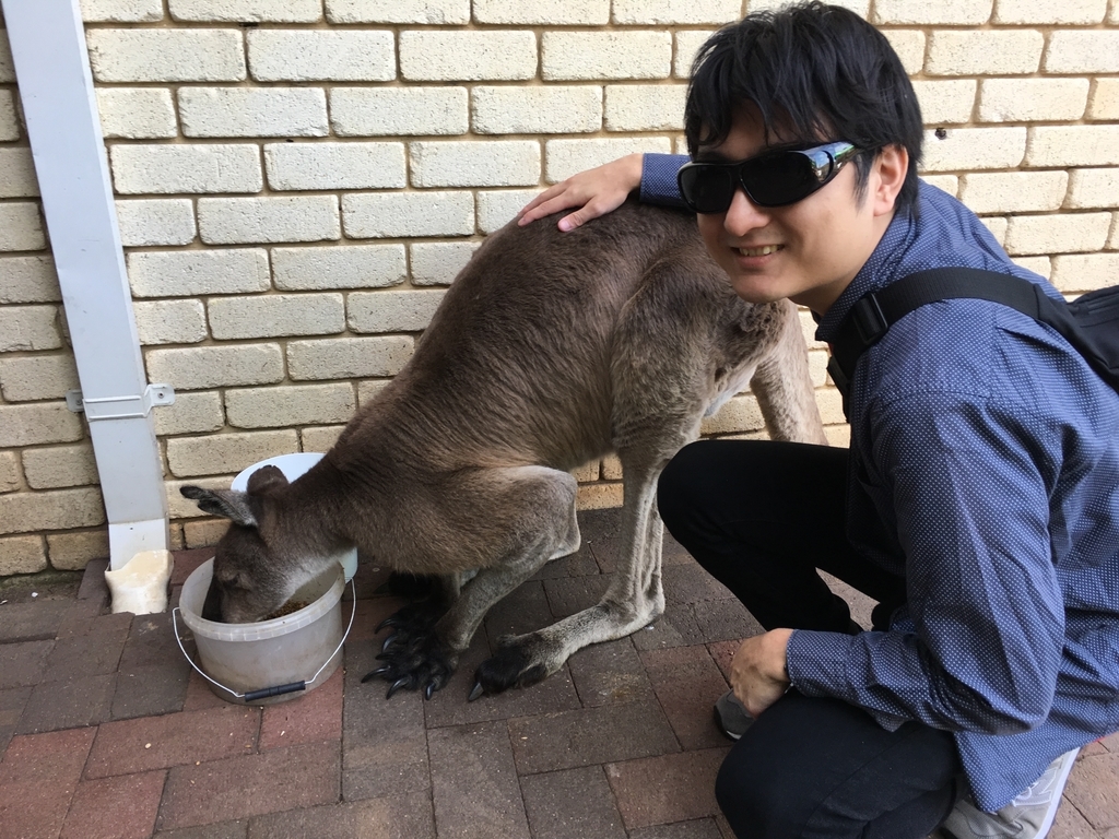 f:id:mktakuyax:20180928154620j:plain f:id:mktakuyax:20180928154620j:plain