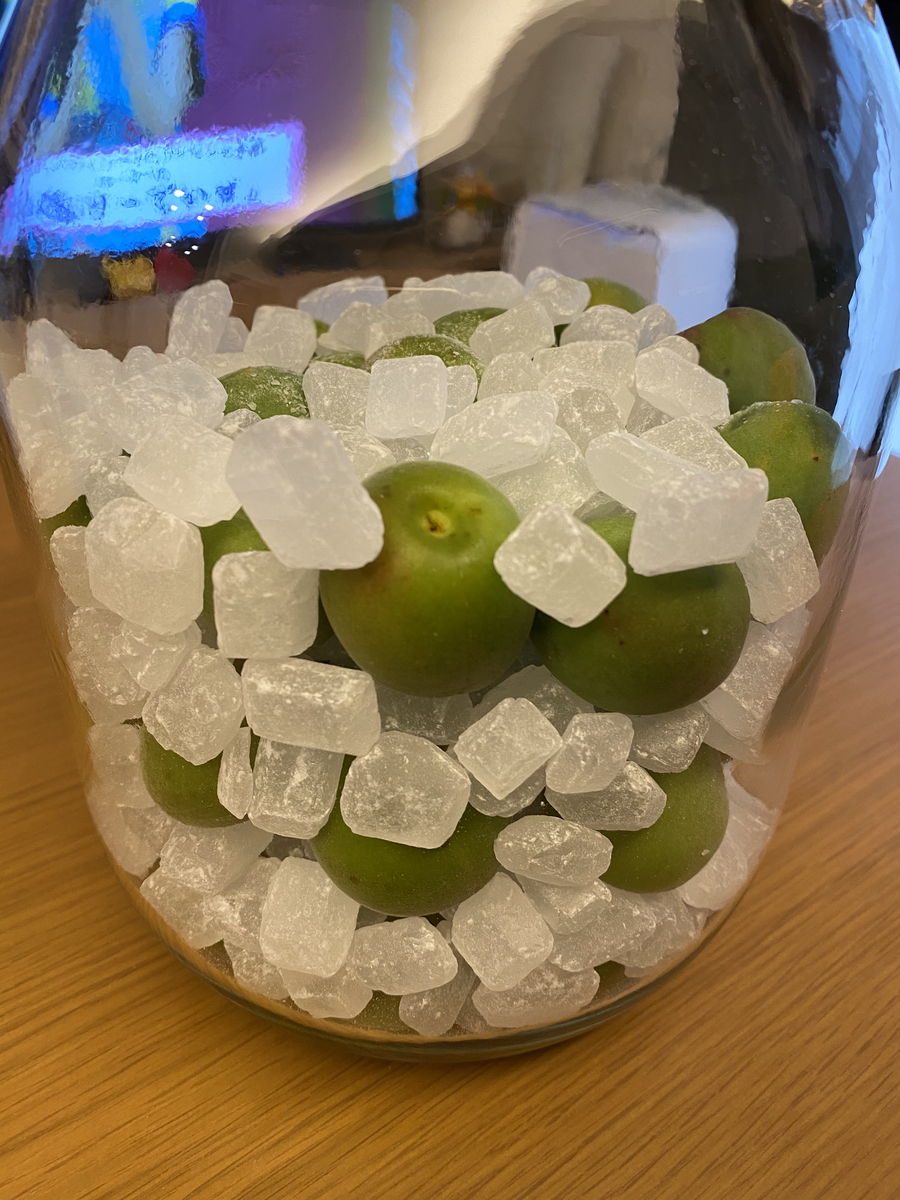 f:id:mktakuyax:20210613145543j:plain