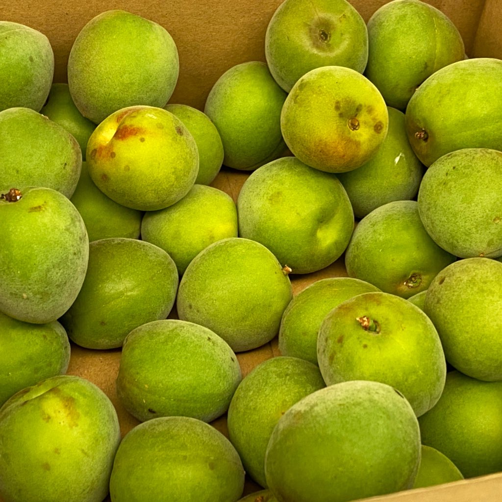 f:id:mktakuyax:20210613223533j:plain