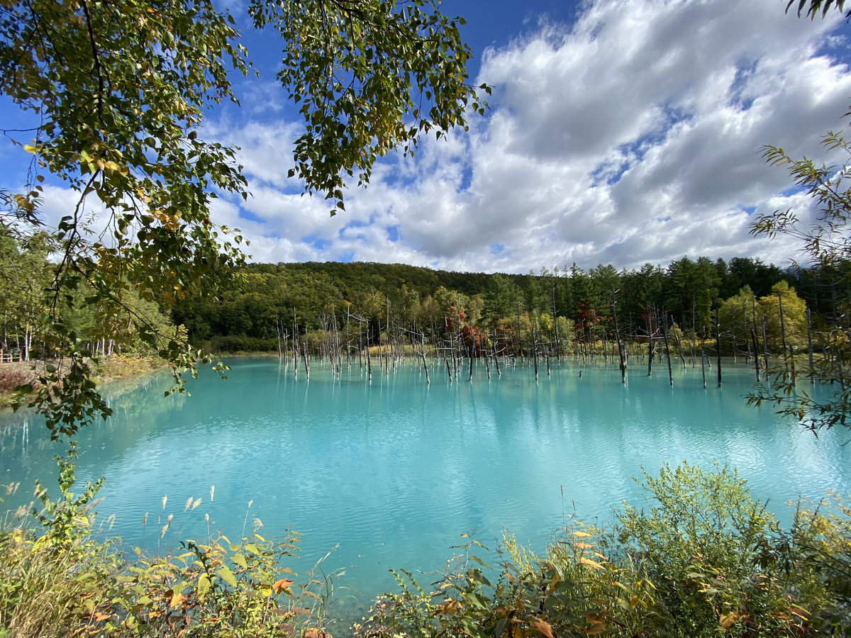 f:id:mktakuyax:20210925111835j:plain