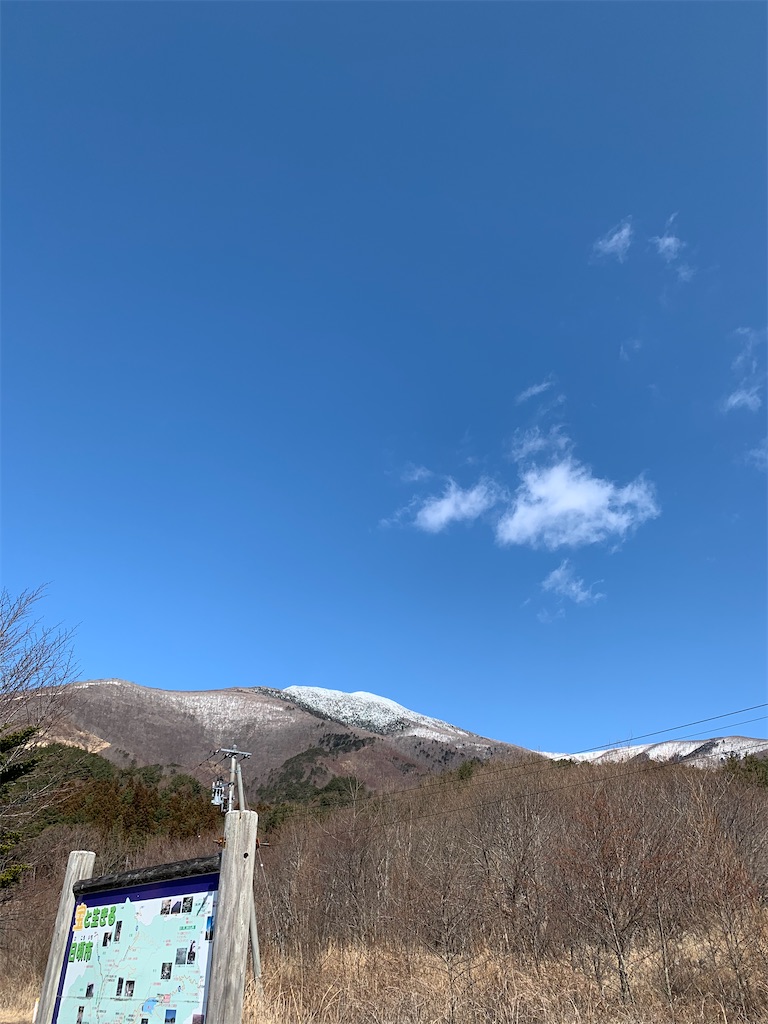 f:id:mktnttm:20200322003411j:image